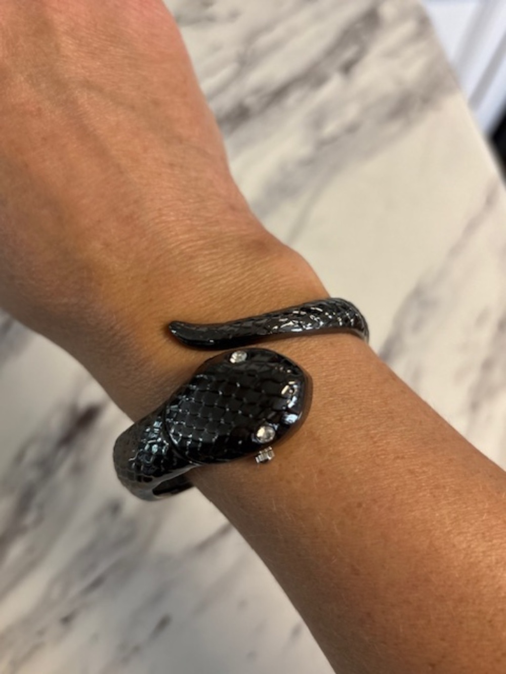 Black Snake Watch